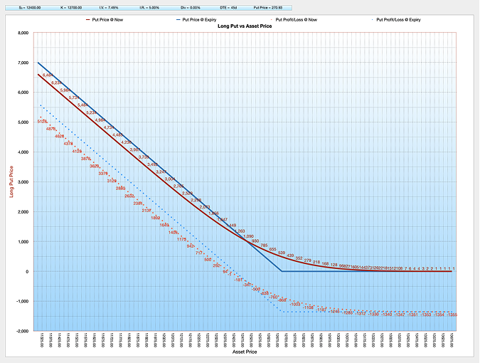 Black-Scholes-Merton BSM Long Put Option Chart